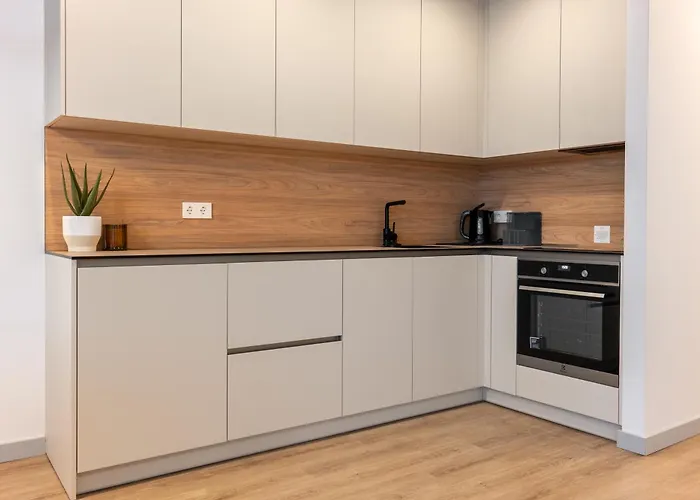 New With 22m Terrace Parking I Cohost * Palanga